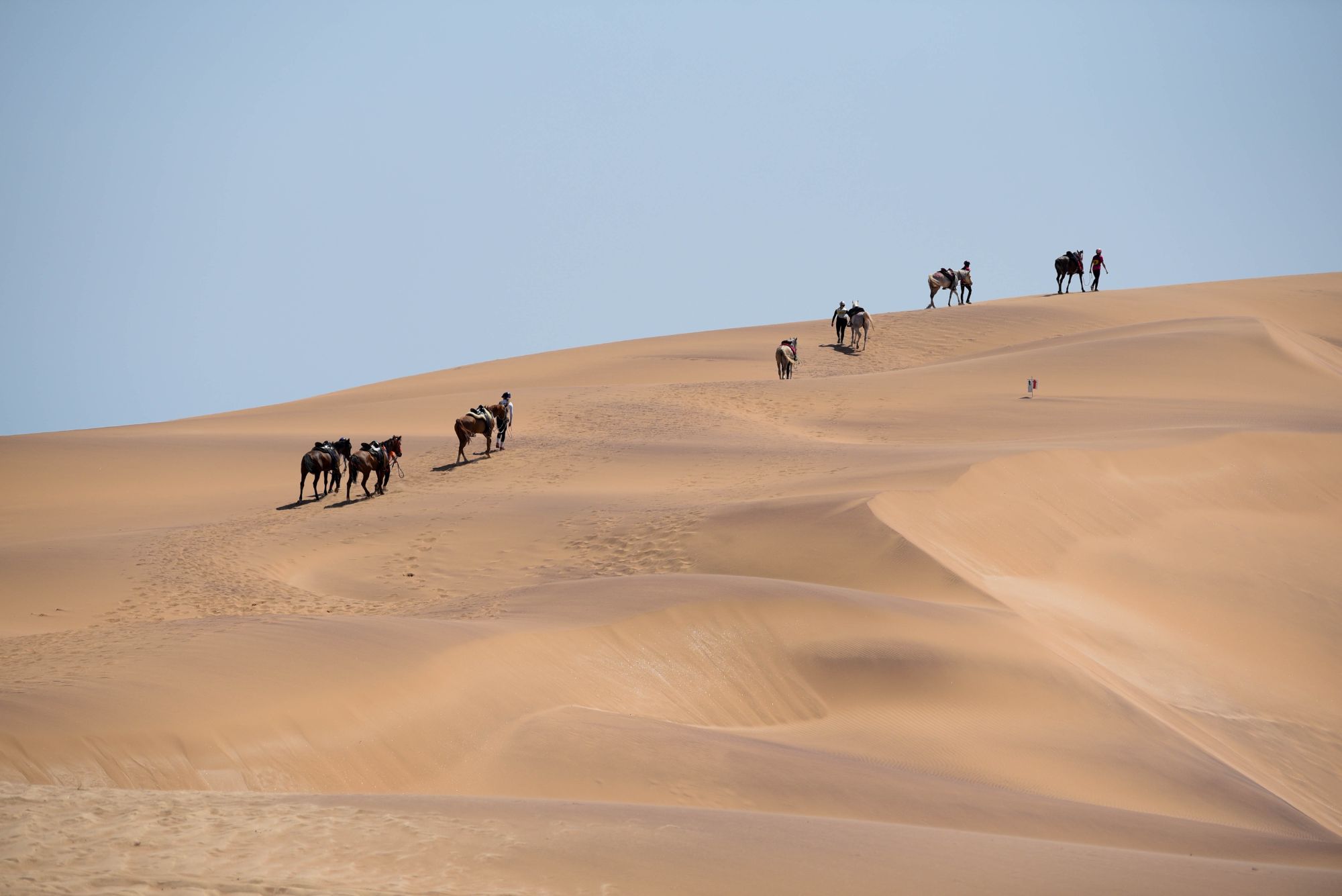 Highlights (176 of 231)_resized.jpg